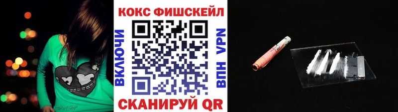 Купить закладки  Заинск  Кокаин FishScale 
