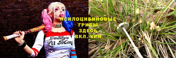 apvp Козловка