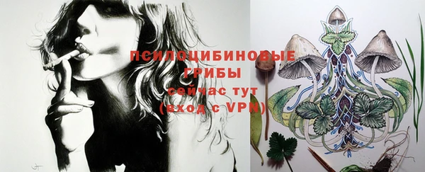 apvp Козловка